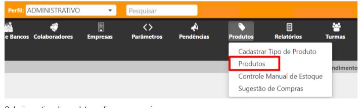 Varejo de Serviços > Ensino- Cadastrar Produto > image2020-5-28_18-56-37.png