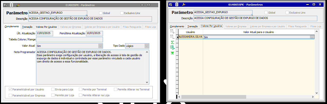 Shopping - Linx > 014083 - Controle de Expurgo de Dados > image-2025-3-13_17-20-40.png