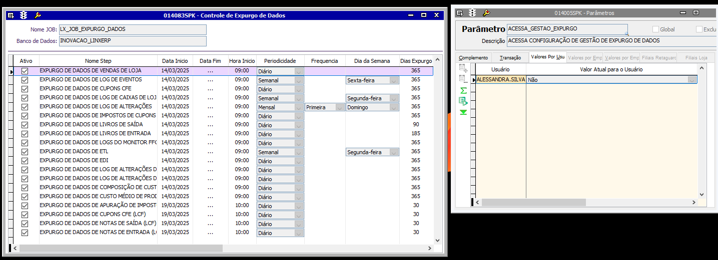 Shopping - Linx > 014083 - Controle de Expurgo de Dados > image-2025-3-20_16-5-16.png