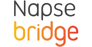 Napse > Bridge - Introducción al módulo stock > logo_bridge.png