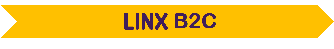 seta Linx B2C Manager